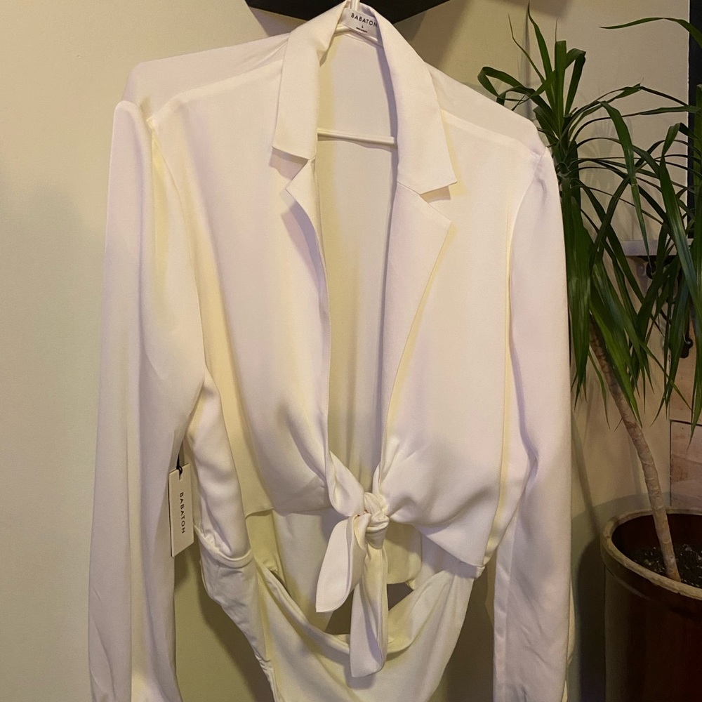 Aritzia bodysuit